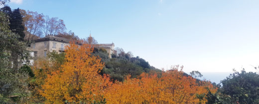 figarella-automne